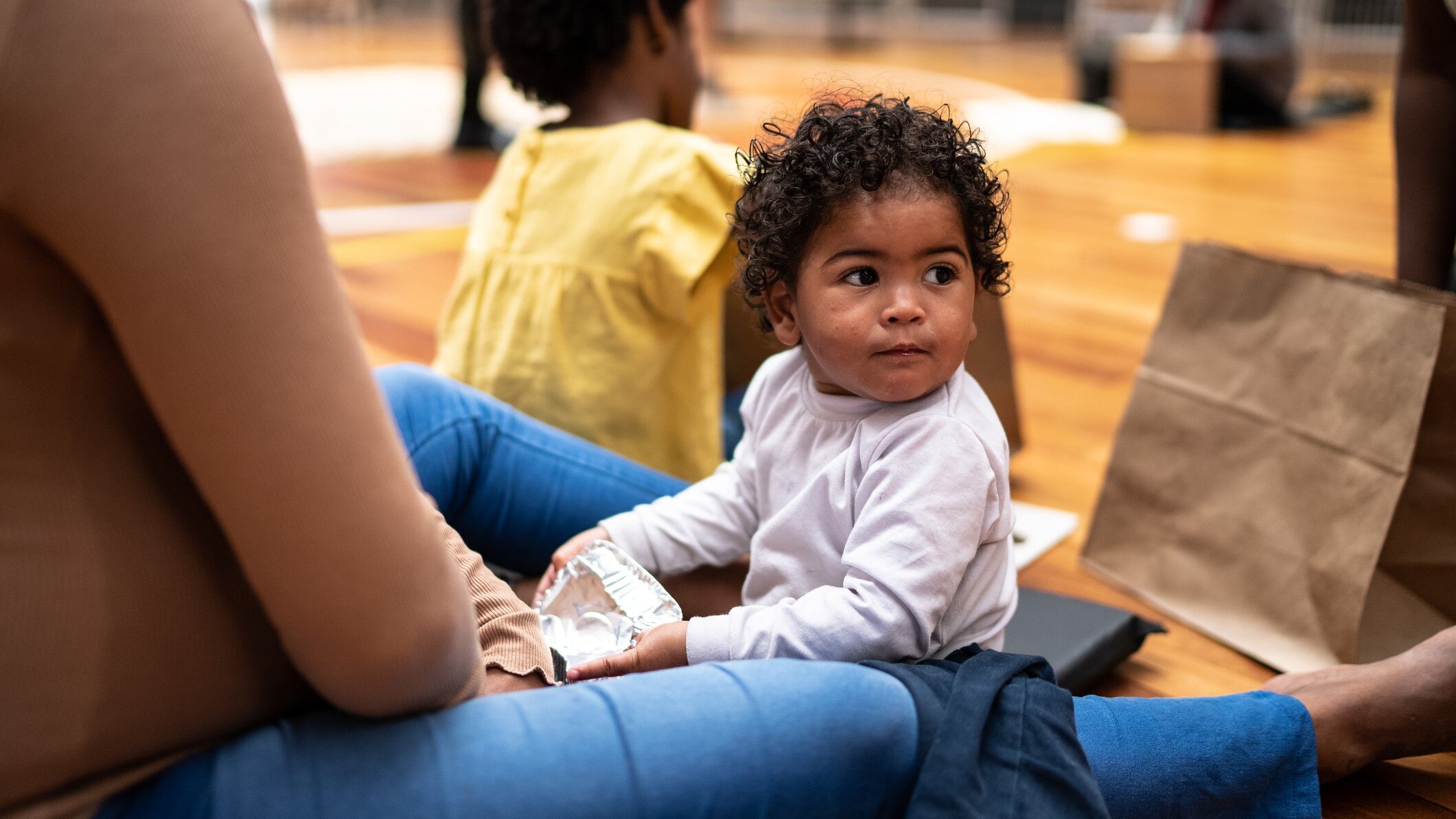 LanguageLine Government services