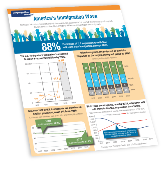 America's Immigration Wave Infographic